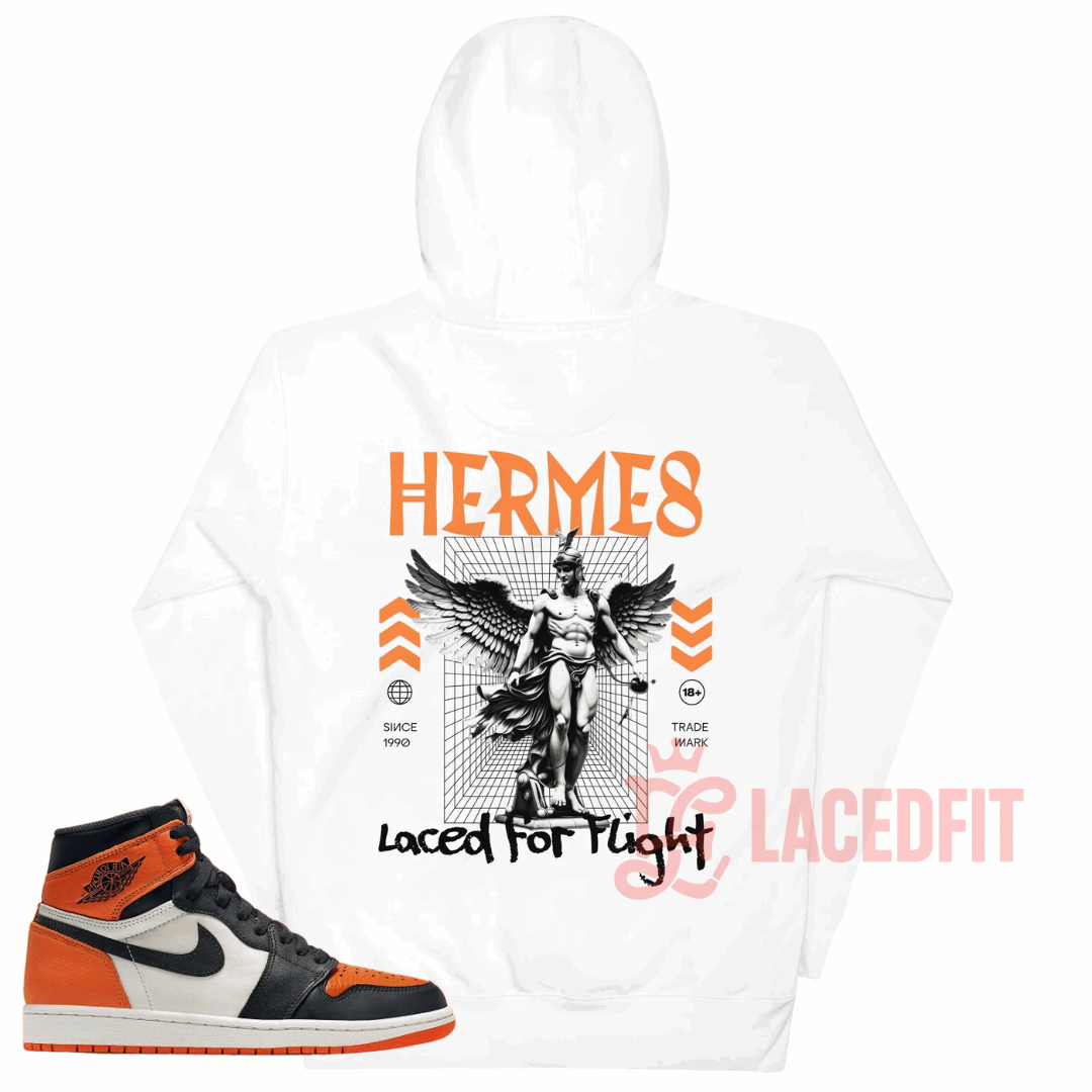Hermes Hoodie - Match Air Jordan 1 “Shattered Backboard”
