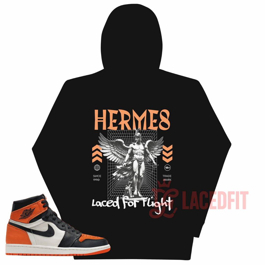 Hermes Hoodie - Match Air Jordan 1 “Shattered Backboard”